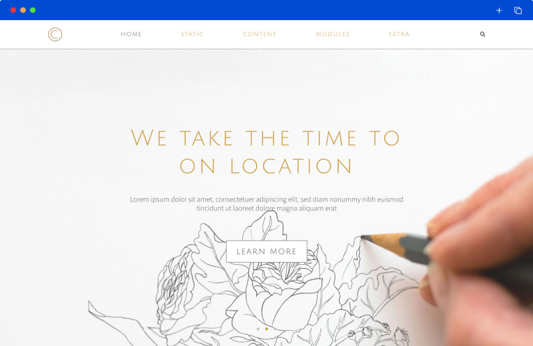 CMS Website Templates